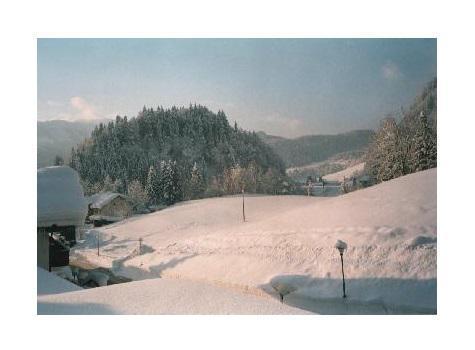 Sport-Alpin-Wohnung-9 Oberstdorf Exteriér fotografie